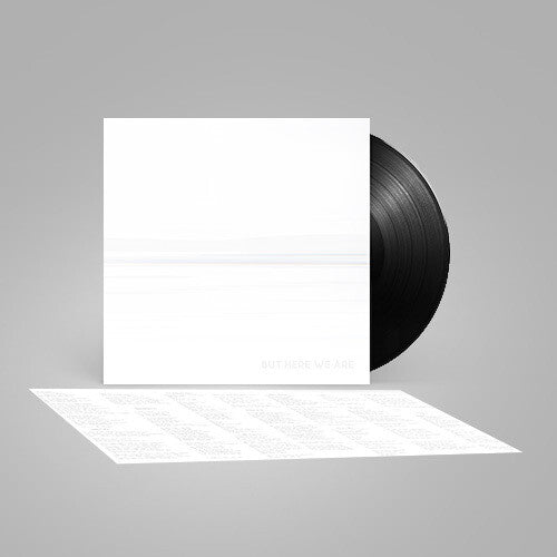 Foo Fighters - But Here We Are - LP