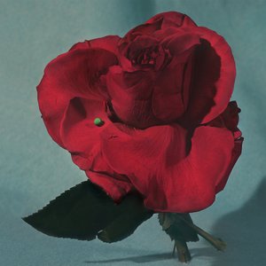 Metz/Up On Gravity Hill (Half Red/Half Black Vinyl) [LP]