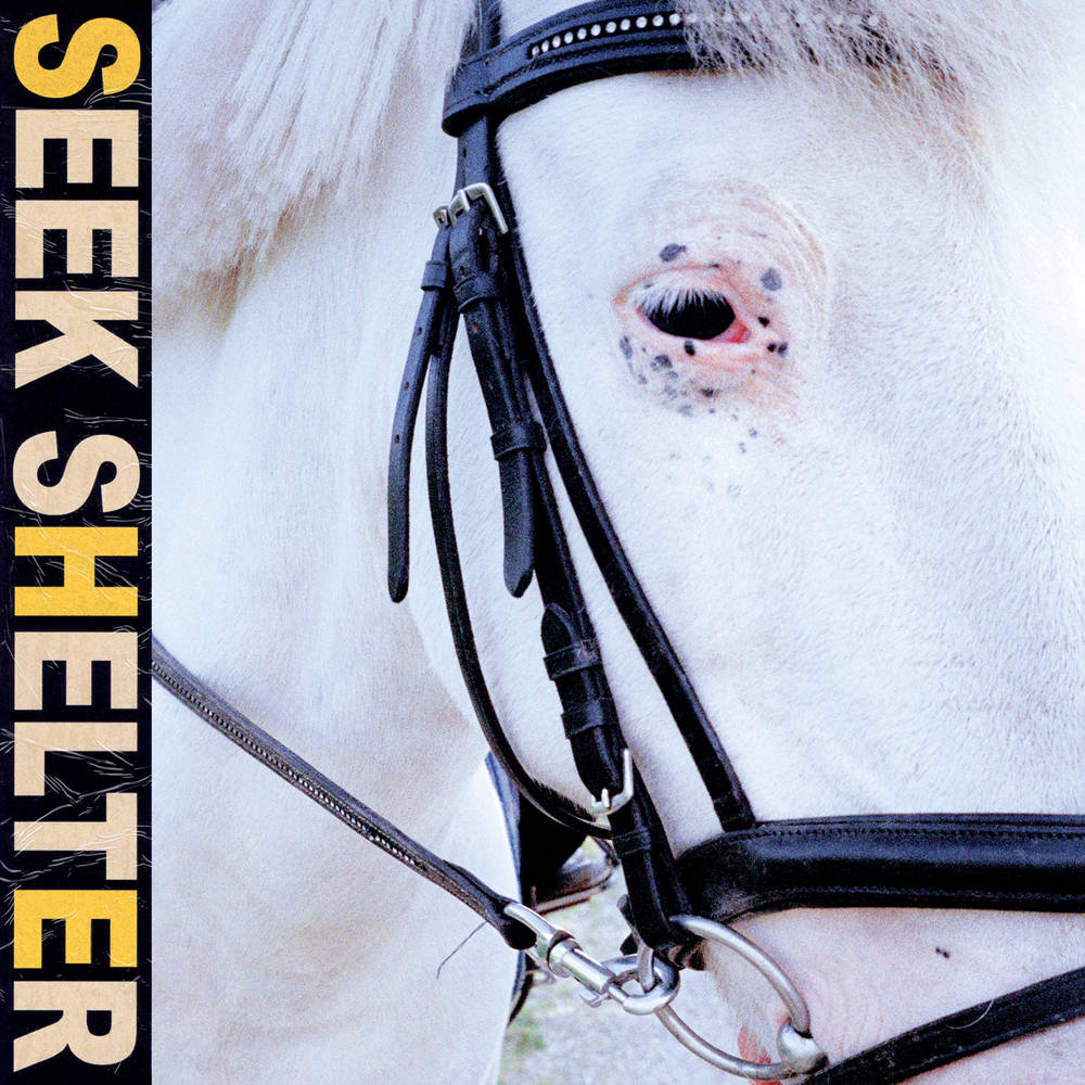 Iceage/Seek Shelter (Clear Orange Vinyl) [LP]