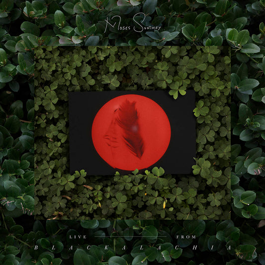 Moses Sumney - Live From Blackalachia - LP