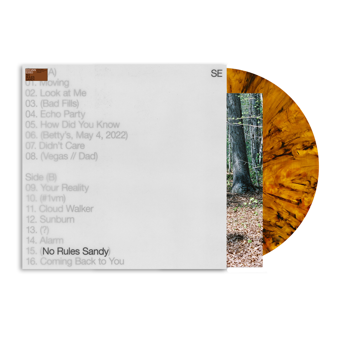 Sylvan Esso - No Rules Sandy - Indie LP