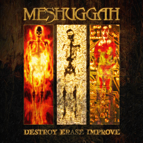 Meshuggah/Destroy Erase Improve (30th Anniversary Sunflare Limited Vinyl) [LP]