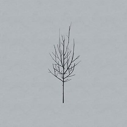 Low/Ones and Sixes [LP]