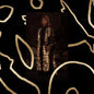 Elisapie/The Ballad Of The Runaway Girl [LP]