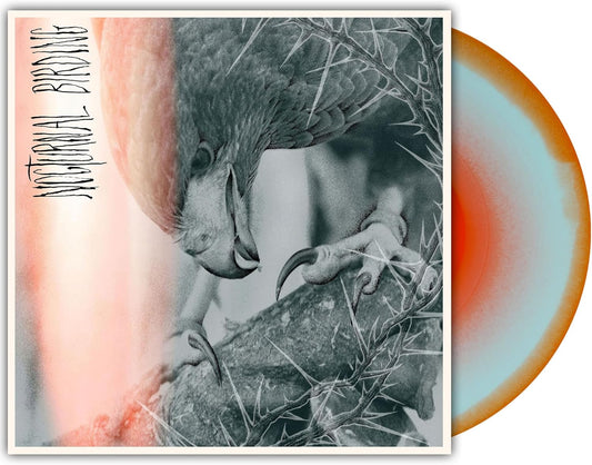 Author & Punisher/Nocturnal Birding (Custom Merge Vinyl) [LP]