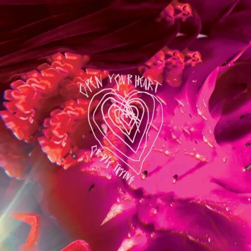 Arcade Fire/Open Your Heart or Die Trying (Black Revinyl) [LP]