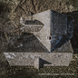Rural Alberta Advantage, The/The Rise & The Fall (Limited Tan Vinyl) [LP]