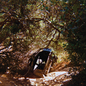 Segall, Ty/Possession [LP]